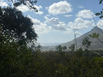 Residential Land