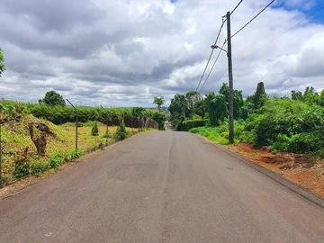 Land