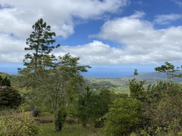 Residential Land