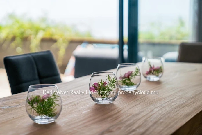   Luxurious and High-End Sea View Apartments for Sale - Flic en Flac