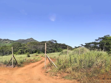 Terrain