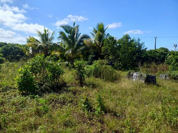 Agricultural Land