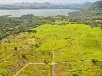 Agricultural Land