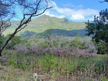 Residential Land