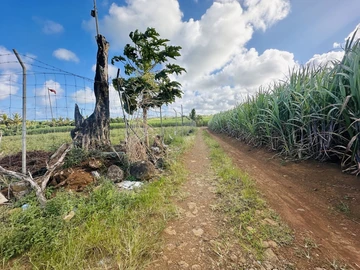 Agricultural Land