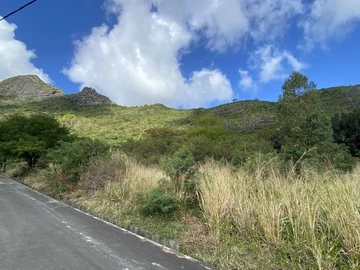 Terrain