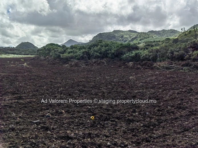 Grand Terrain Agricole à Vendre – Martinière, Surinam – Vue Panoramique & Cadre Naturel
