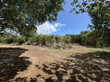 Terrain Agricole
