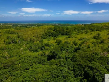 Agricultural Land