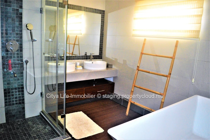 Dream penthouse for sale