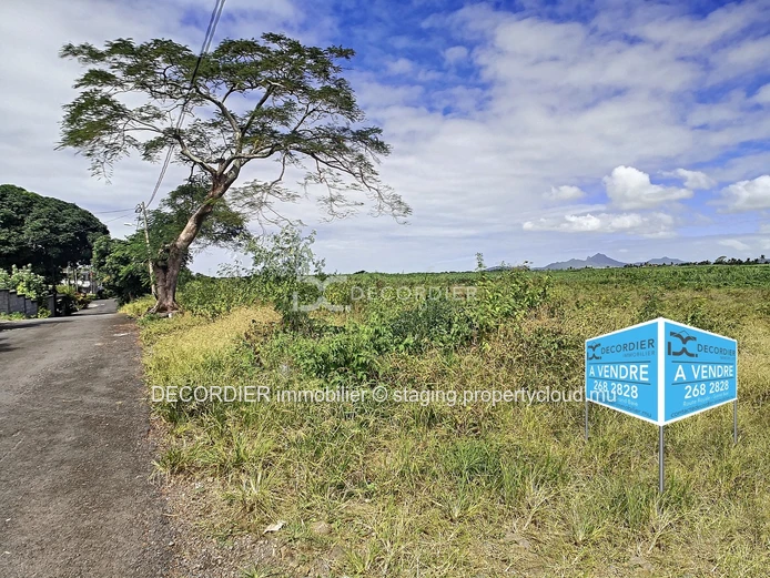For sale agricultural land - Mare la Chaux, Flacq