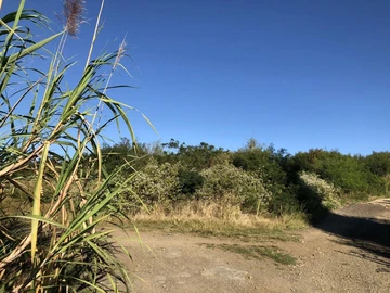 Terrain Agricole