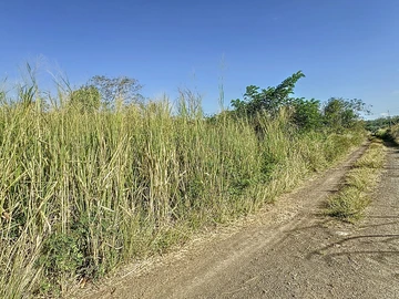 Terrain