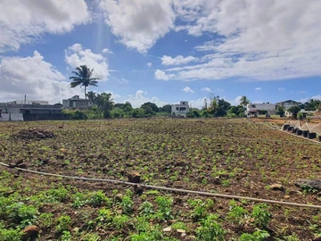 Land