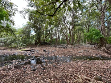 Commercial Land