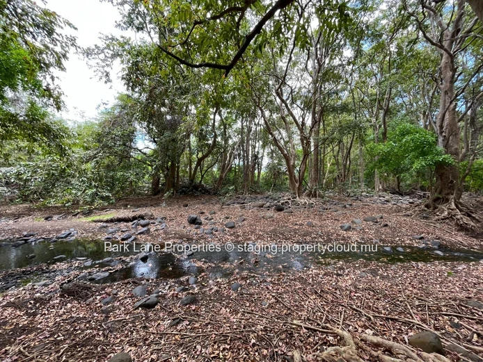 Riverfront Paradise in Black River – A Rare Opportunity