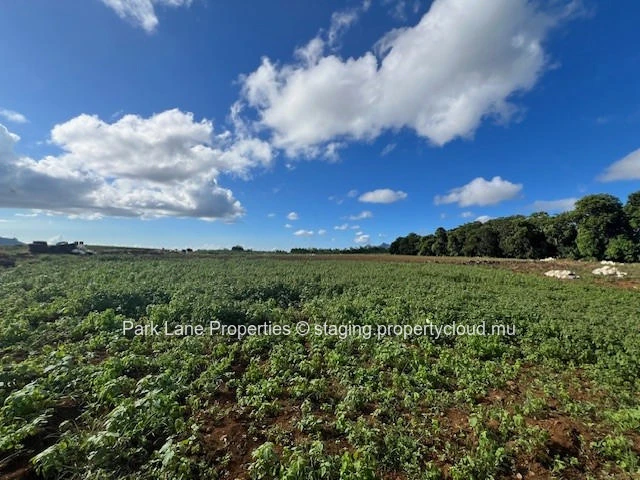 Opportunité d'Investissement d'exception : Terrain agricole stratégiquement situé à Valentina.