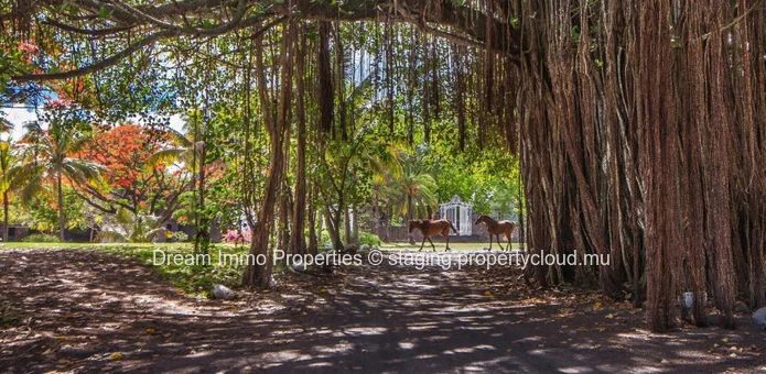 3 Bed Apartment Within A Sublime Golf Residence Close To Mont-Choisy Lagoon & Beach - Mauritius