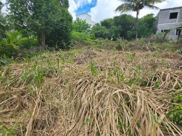 Residential Land