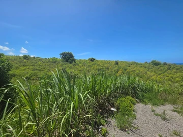 Agricultural Land