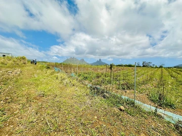 Agricultural Land