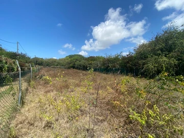 Residential Land
