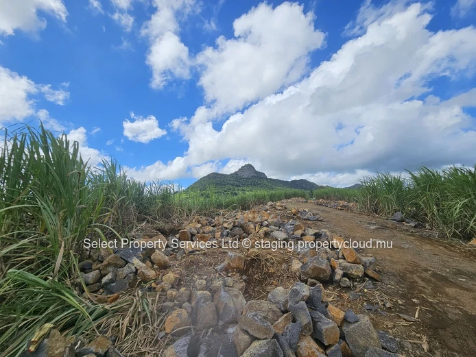 Agricultural Land for Sale - Morcellement - Montagne Blanche