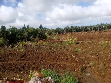 Terrain Agricole