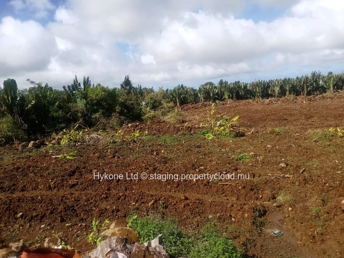 Terrain Agricole En Vente À Beau Climat