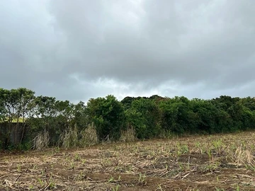 Agricultural Land