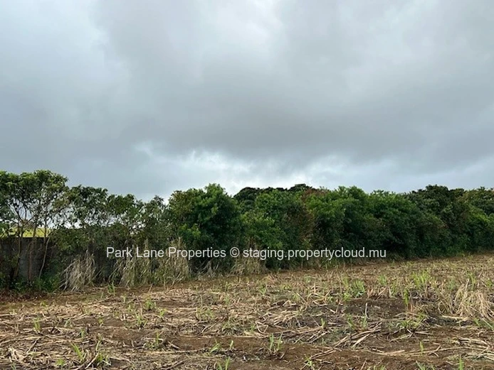 Potentiel de Transformation : Terres Agricoles de Trianon Près de l'Autoroute vers Verdun