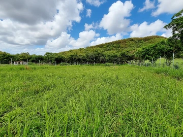 Terrain Agricole