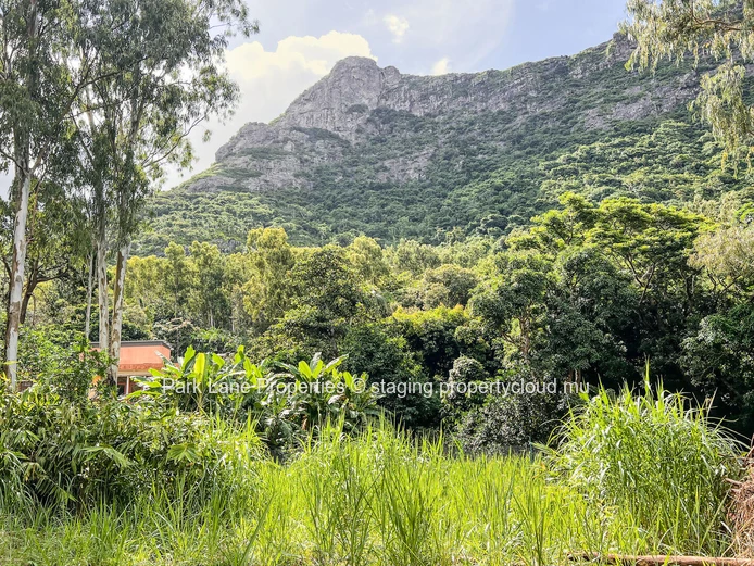Opportunité rare à Montagne Ory – Terrain résidentiel !