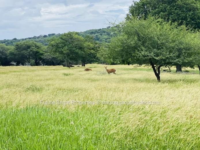 Premium Residential Plot for Sale – Domaine de Palmyre, Petite Rivière Noire (Sole Mandate)