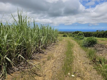 Agricultural Land