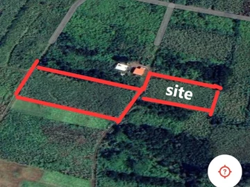 Agricultural Land