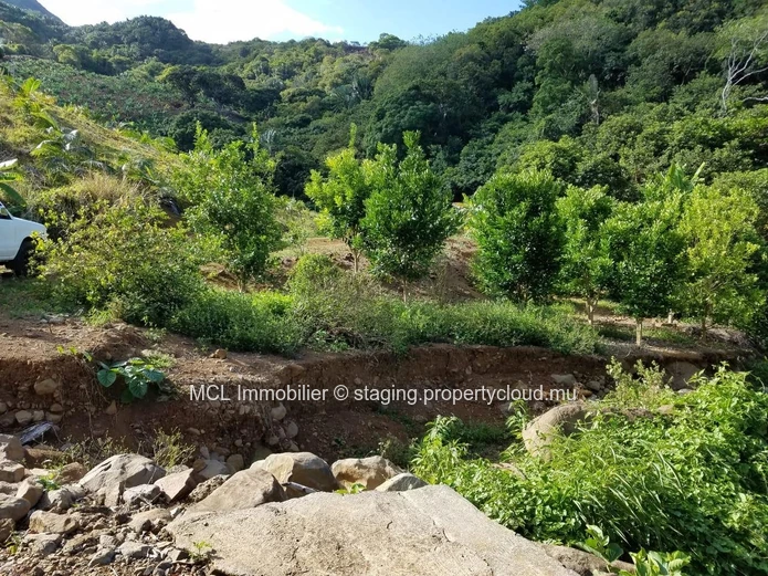 Agricultural land of 73,958.68m2 in Bambous Virieux