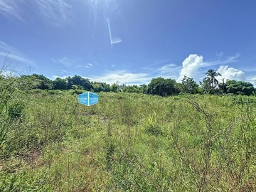 Terrain