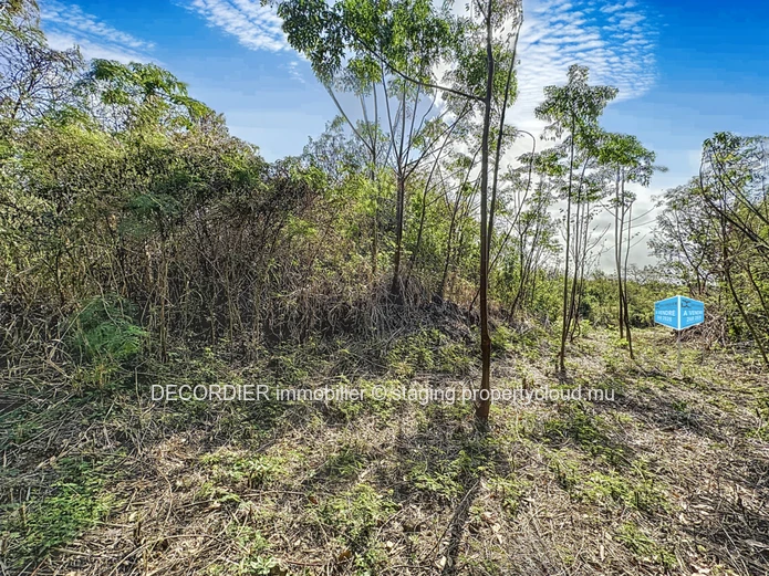 À Vendre La Salette Grand Baie Terrain Constructible