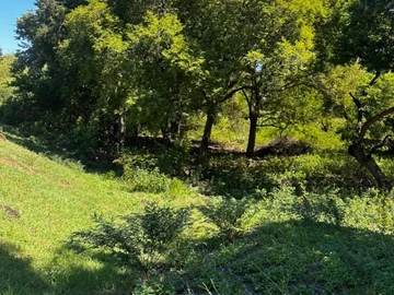 Residential Land