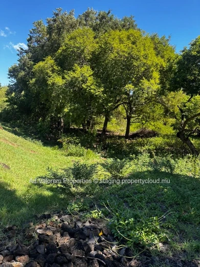 ?? Exceptional Plot of Land – Domaine de Palmyre, Rivière Noire