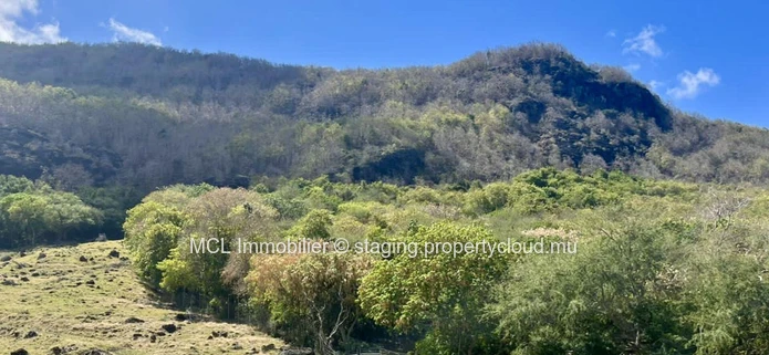 Terrain Agricole de 12 arpents à vendre au Morne