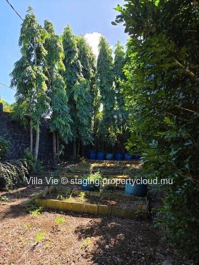 Foret Daruty - Charmante villa de 4 chambres avec piscine et grand jardin