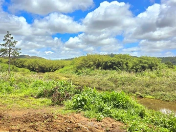 Land