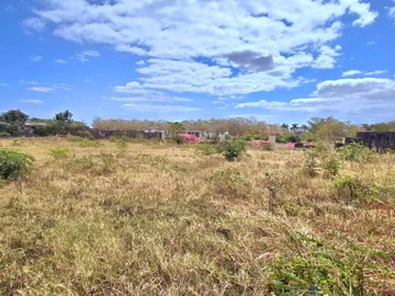Terrain