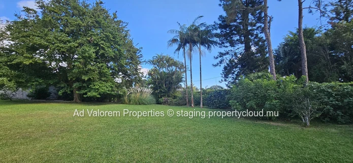 Charming house for rent in Floreal.