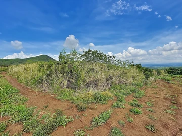Land