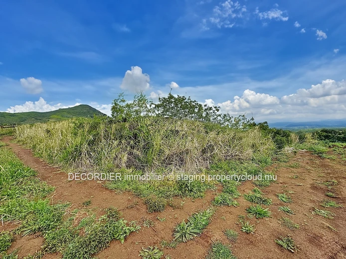 Opportunité à saisir à Pamplemousses – Terrain de 4221 m²