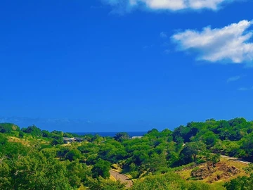 Residential Land