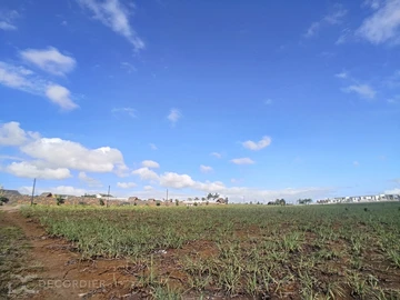 Terrain